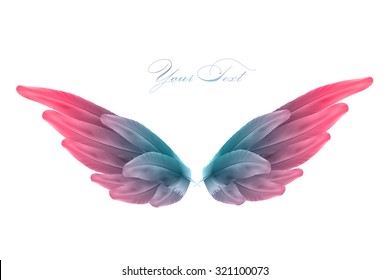 vector bird wings