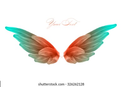 Vector Bird Wings