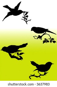 vector birds