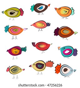 vector birds.