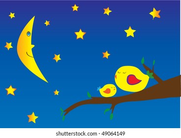 vector birds