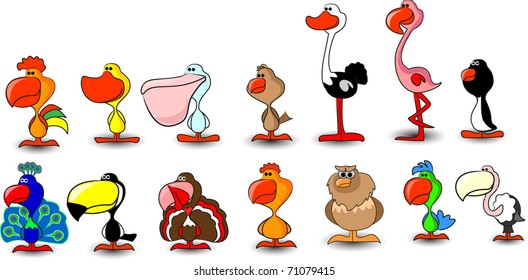 vector birds