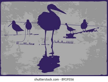 vector birds