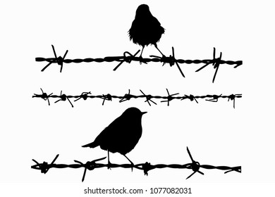 Vector birds and barbed wire. White background.
