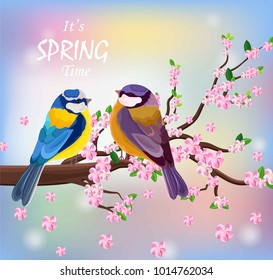 Vector birds couple on a Blossom cherry flowers branch. Spring background illustrations