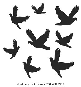 Vector of birds in differently flying. Set illustrations, Seagull bird, wildlife nature animal vector Atlantic seagulls in vector style. 