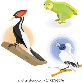 Vector birds endangered animals colorful starling, kakapo parrot and imperial woodpecker