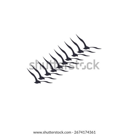Vector birds in flight, symbolizing travel, hope, and endless freedom.