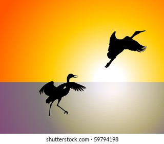 vector birds flying