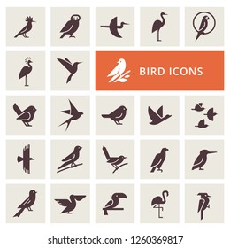 Vector birds icon set in gray color. Isolated items birds. Perfect for illustration, decoration and print.