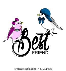 Vector birds in a knitted hat and scarf. Hand drawn illustration of dressed birds 2.