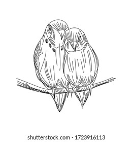Pájaros vectoriales dibujando mano de rama. Cartel dibujado a mano. Ilustración para impresión, web