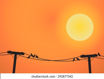 Vector : Birds on electricity post before sun set