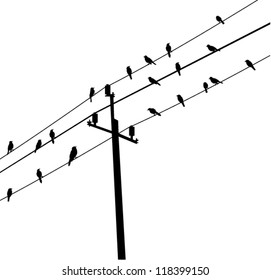 Vector Birds On Wire