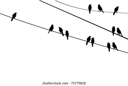 Vector Birds On Wire