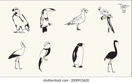 Vektorvögel umreißen schwarz-weißes Illustrationssatz eps10
