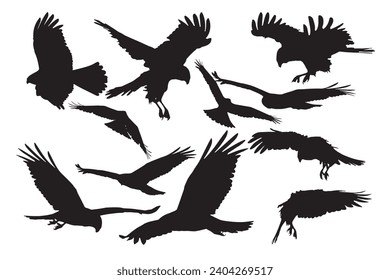 Vektorvögel von Beute mit verschiedenen fantastischen Flugbildern. Weißer Hintergrund.