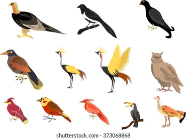 Vector birds set. Isolated on white illustration.