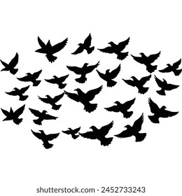 Vector birds set silhouette illustration