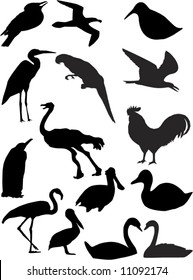 vector birds shapes