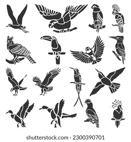 conjunto de colección de siluetas de aves portadoras