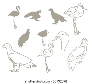 vector birds silhouettes