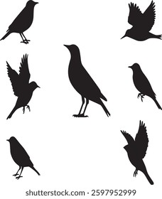 A vector birds silhouettes on white background.