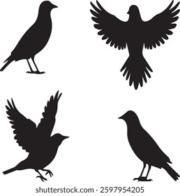 A vector birds silhouettes on white background.