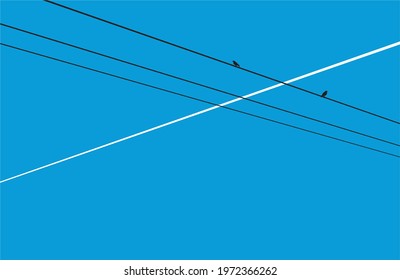 vector birds sit on electric wires against the background of a blue spring sky and the trail of a flying plane