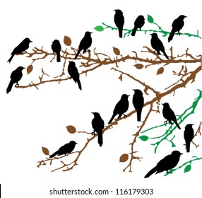 vector birds sitting on the branches