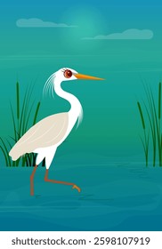 Vector birds. A white heron stands on a green swamp. Animals collection. 