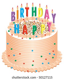 vector birthday cake with burning candles