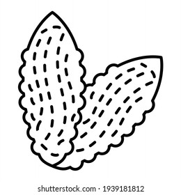 Vector bittergourd Outline Icon Design

