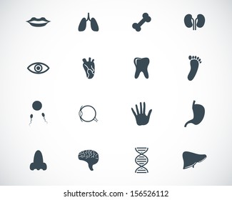 Vector black  anatomy  icons set