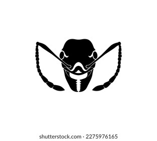 
vector black ant head angry face plain white background simple front view simple elegant logo