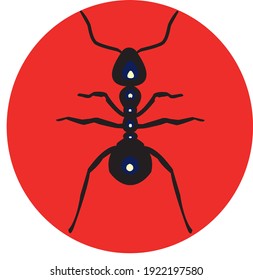 
Vector, black ant on red circle.