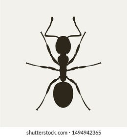 Vector black ant silhouette viwed from above