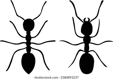 vector Black ants and soldier ants