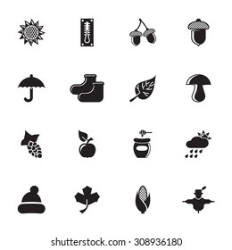 vector black Autumn icon set on white background