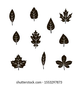 Vector black autumn leaf icon set in flat style  isolated on a white background.Botanical collection