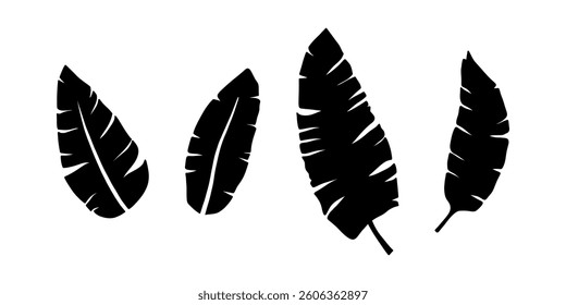 Vector black banana leaves set, herbal element. Collection of simple tropical leaves. Can be used as isolated sign, symbol and icon. Summer tropical botanical vector leaf illustrations.