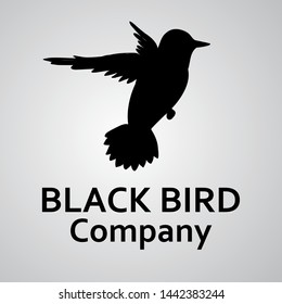vector black bird logo for company. EPS 10.