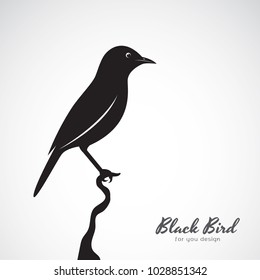 Vector of a black bird on white background. Animal. Easy editable layered vector illustration.