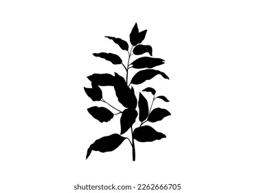 Las plantas de color negro y azul vectorial son gráficos digitales o ilustraciones de plantas representadas principalmente en color negro, con fondo blanco 