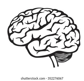 brain black and white vector