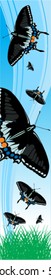 vector black butterflies banner