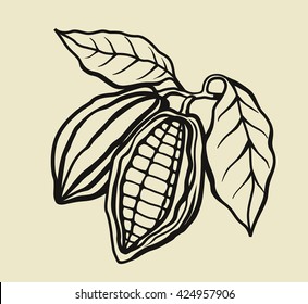 vector black cacao beans on beige background