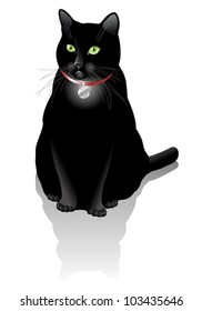 Vector black cat