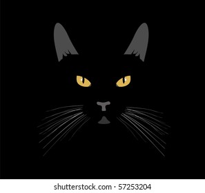 Vector. Black cat in the night