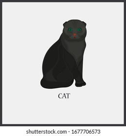 Vector black cat on light background